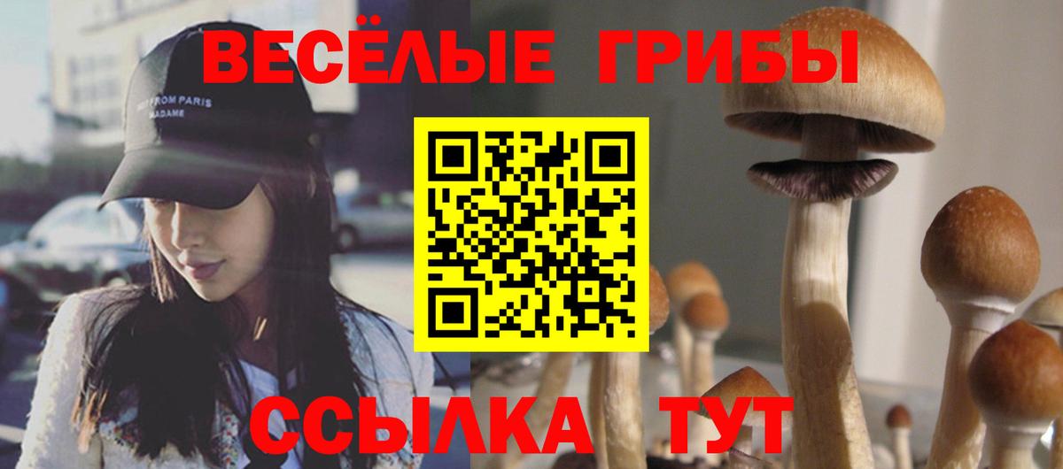 Псилоцибиновые грибы MAGIC MUSHROOMS Саратов